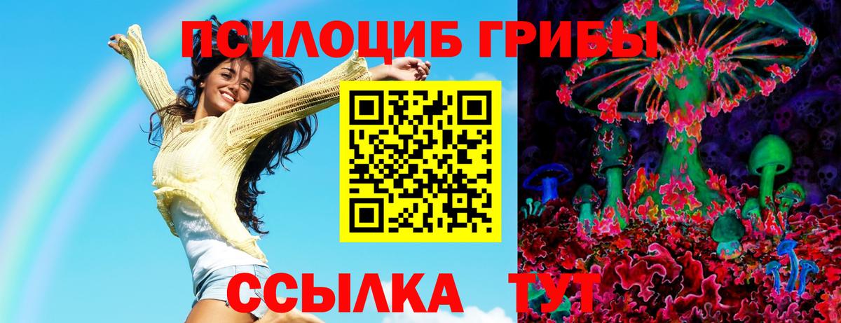 Богданович  Галлюциногенные грибы мухоморы  Вход с VPN  Галлюциногенные грибы ЛСД 